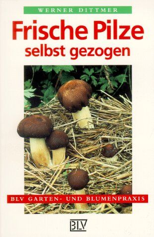 Werner Dittmer - Frische Pilze selbst gezogen. - Preis vom 30.09.2026 22:30:23 h