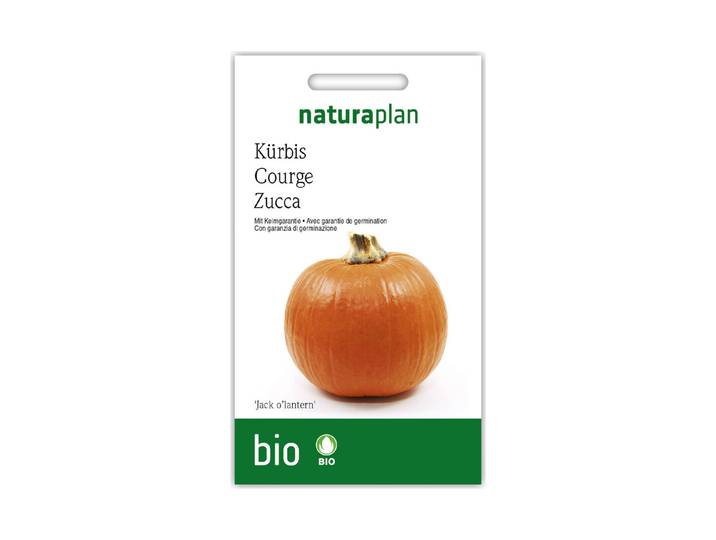 Naturaplan Bio Kürbis Jack O Lantern'