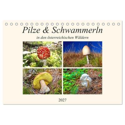 Pilze & Schwammerln (Tischkalender 2027 DIN A5 quer), CALVENDO Monatskalender