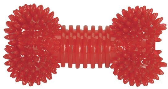 CAMON Osso con Punte e Squeaker in Gomma CM.16.5