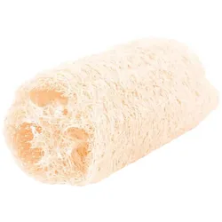 Luffa-Schamm