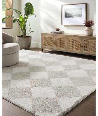 Livabliss Cloudy Shag Modern & Contemporary Area Rug