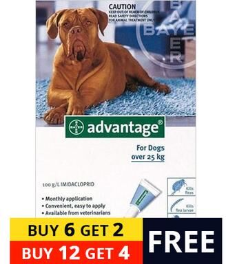 Bravecto 1-Month Chew Advantage Extra Large Dogs Over 55 Lbs (Blue) 12 + 4 Free