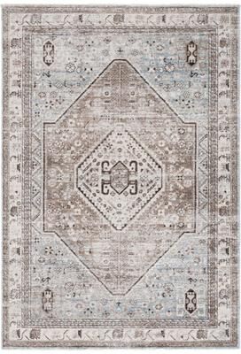SAFAVIEH Antique Patina Glwadys Traditional Rug