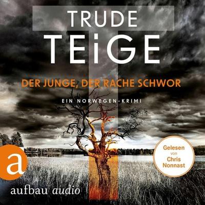 Der Junge, der Rache schwor - Trude Teige, Audio, 9783757011789