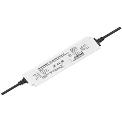 Radium Lampenwerk LED-Betriebsgerät 24V OTNA1962