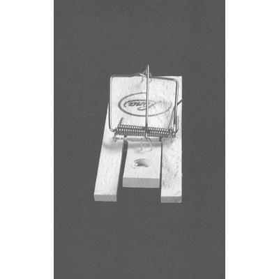 Anna Haifisch. Residenz Fahrenbühl, Taschenbuch von Anna Haifisch, Spector Books, 978-3-95905-434-8