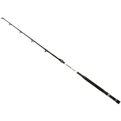 Shimano, Angelrute, (165 cm)