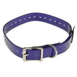 Num'axes Violet (Hund, Spazieren), Halsband + Leine