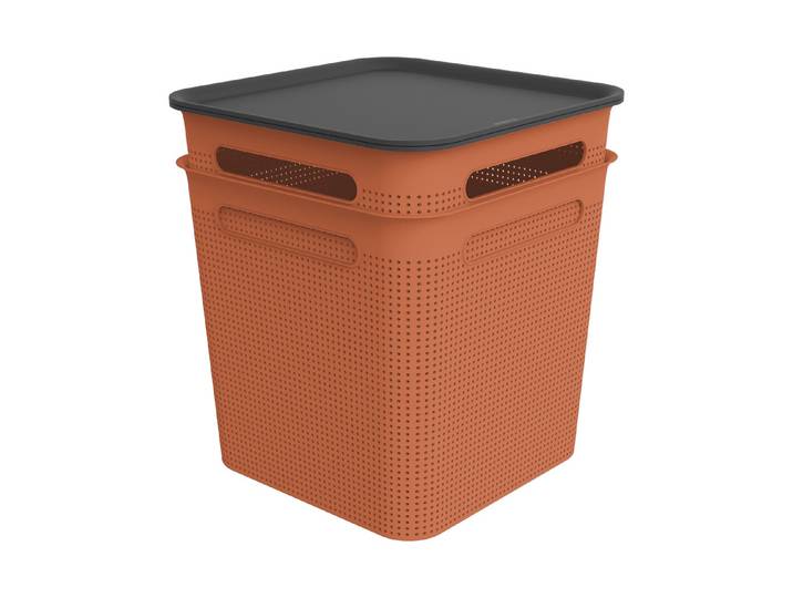 Rotho 2er-Set Box mit Deckel Brisen 18 l