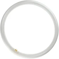 Philips, Leuchtmittel, Leuchtstofflampe (G10q, 3200 lm, 1x)