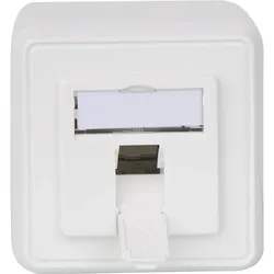 Modul-Aufnahme 80x80, 1-fach AP, alpinweiß 1 Stück Telegärtner