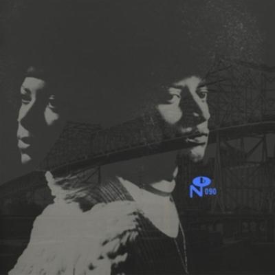 Skyway Soul: Gary,Indiana - Various, Vinyl