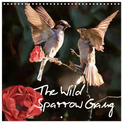 The Wild Sparrow Gang (Wall Calendar 2027 12 × 12 Inch) CALVENDO 12 Month Wall Calendar