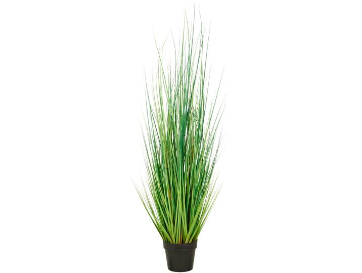 Kunstgras CREATIV GREEN Grasbusch Miscanthus , grün, H:145cm, Kunststoff, Kunstpflanzen, Kunstgras, mit naturgetreuen Grashalmen