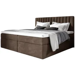 BOXBETT Linnea