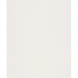 VLIESTAPETE Uni Tapete beige