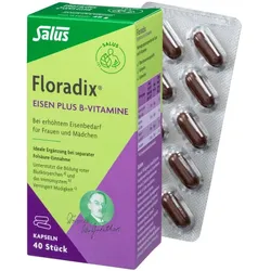 Floradix Eisen plus B-Vitamine 40 St Kapseln