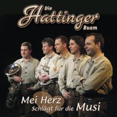 Mei Herz Schlagt Für Die Musi - Die Hattinger Buam, CD
