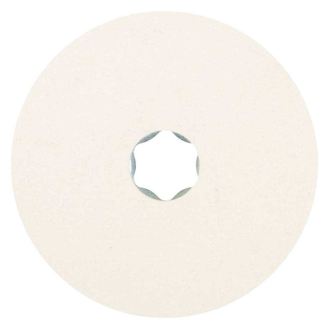 Pferd CC-FR 100 (CC-FR 100)