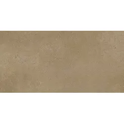 Fineza Project Bodenfliese braun 30x60 cm matt DAKSR375.1