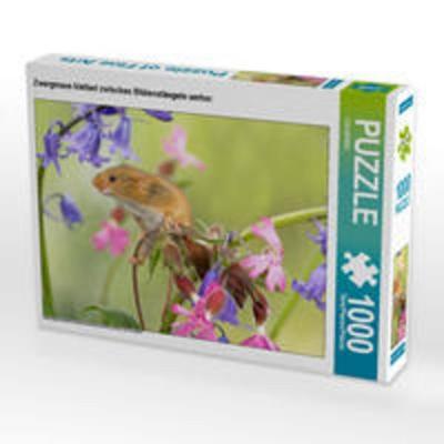 CALVENDO Puzzle Zwergmaus klettert zwischen Blütenstängeln umher. 1000 Teile Lege-Größe 64 x 48 cm Foto-Puzzle Bild von CALVENDO