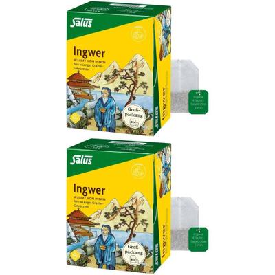 Ingwer KRÄUTER-GEWÜRZTEE-Mischung Bio Salus Fbtl. 2x 2x40 St Filterbeutel