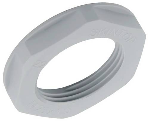 LAPP 53019331 SKINTOP GMP-GL NPT 1'' RAL 7001 SGY o.B. Gegenmutter 100St.