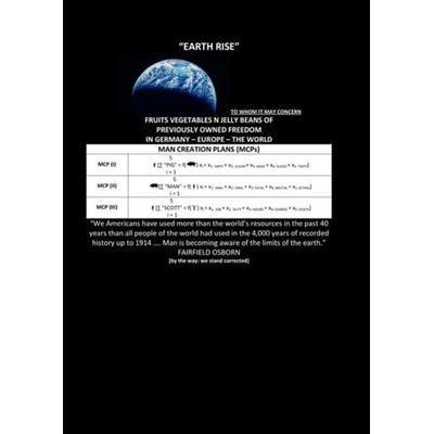 “earth Rise”, Taschenbuch von Soul Constitution, Epubli, 978-3-7375-7919-3