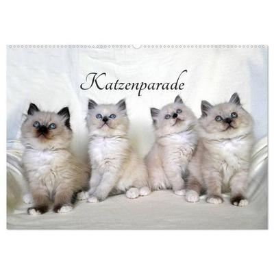 Katzenparade (Wandkalender 2027 DIN A2 quer), CALVENDO Monatskalender