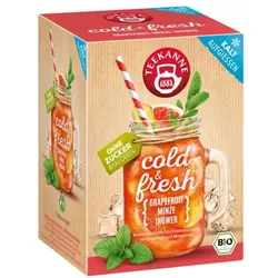 TEEKANNE Bio Früchtetee Cold & Fresh Grapefruit-Minze-Ingwer 15 Portionen grün
