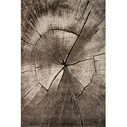 TEPPICH Kurzflor OGLIO Abstrakt Polypropylen-Polyester Natur 120 x 120 cm