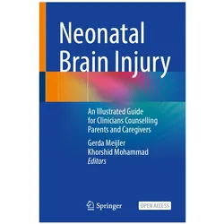 Neonatal Brain Injury, Fachbücher von Gerda Meijler, Khorshid Mohammad