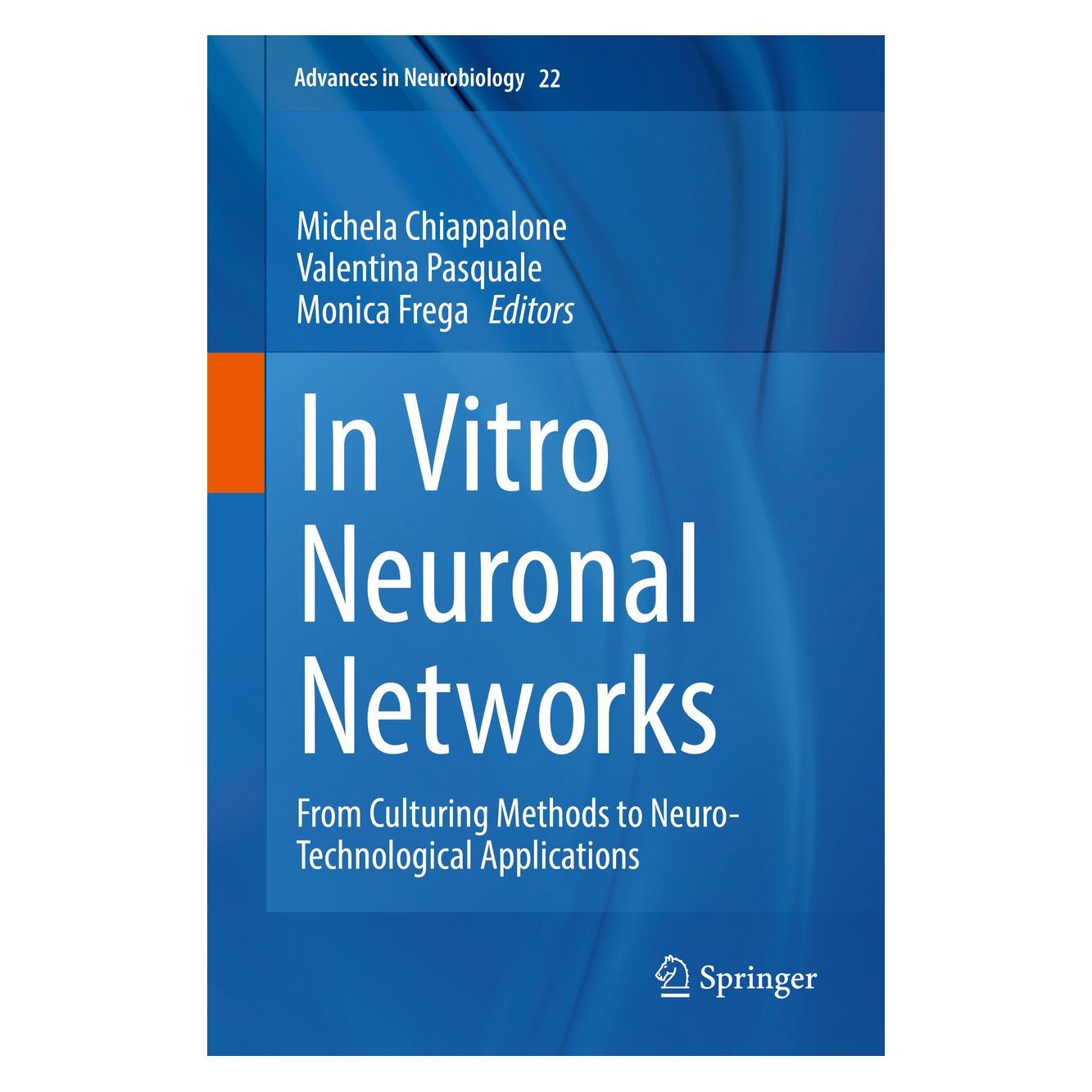 Springer In Vitro Neuronal Networks (9783030111342)