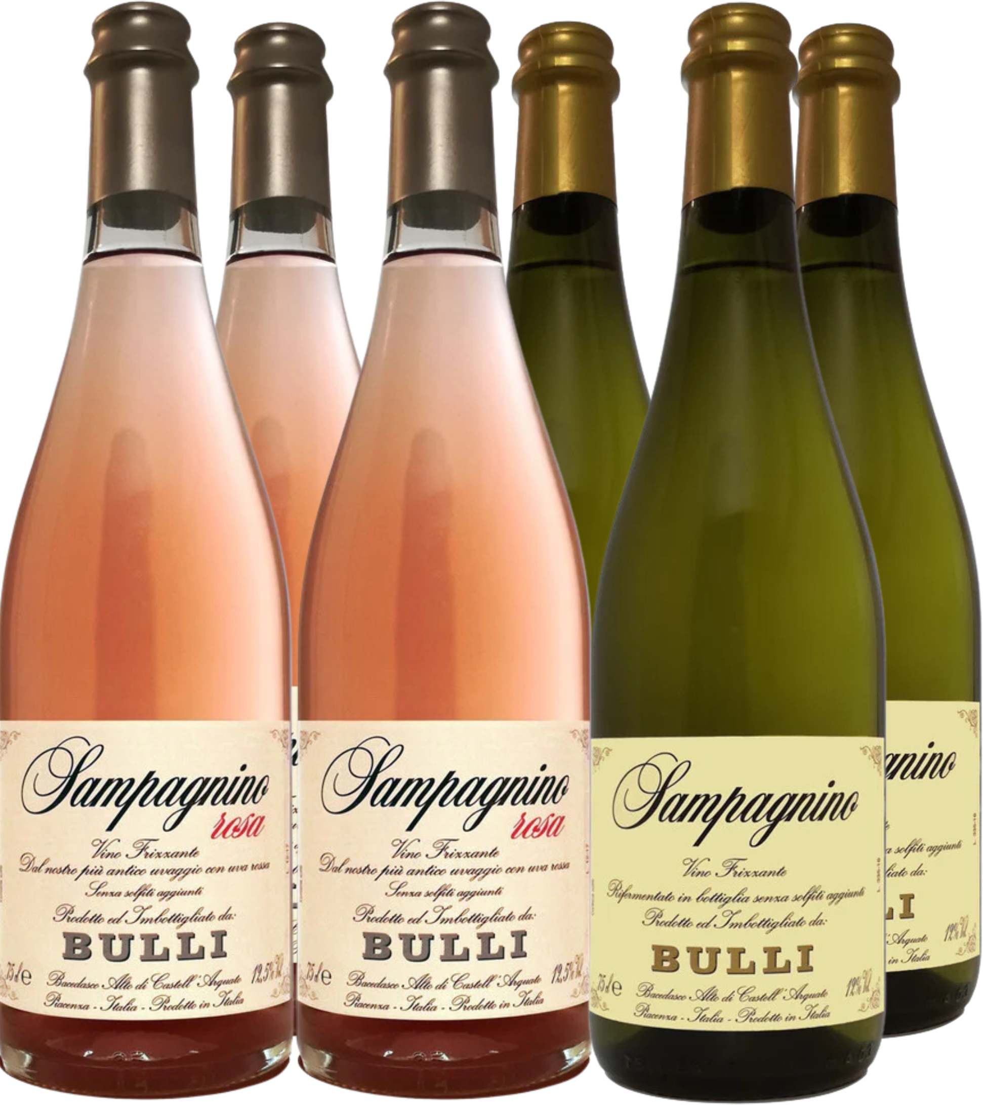 Bulli Wine Box 'Sampagnino' (6bt)