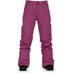 Horsefeathers, Damen, Skihosen, Women's Diane Pants (XS), Violett