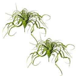 CREATIV green künstliche Pflanze Tillandsien-Hänger, ca 70cm, 2er Set