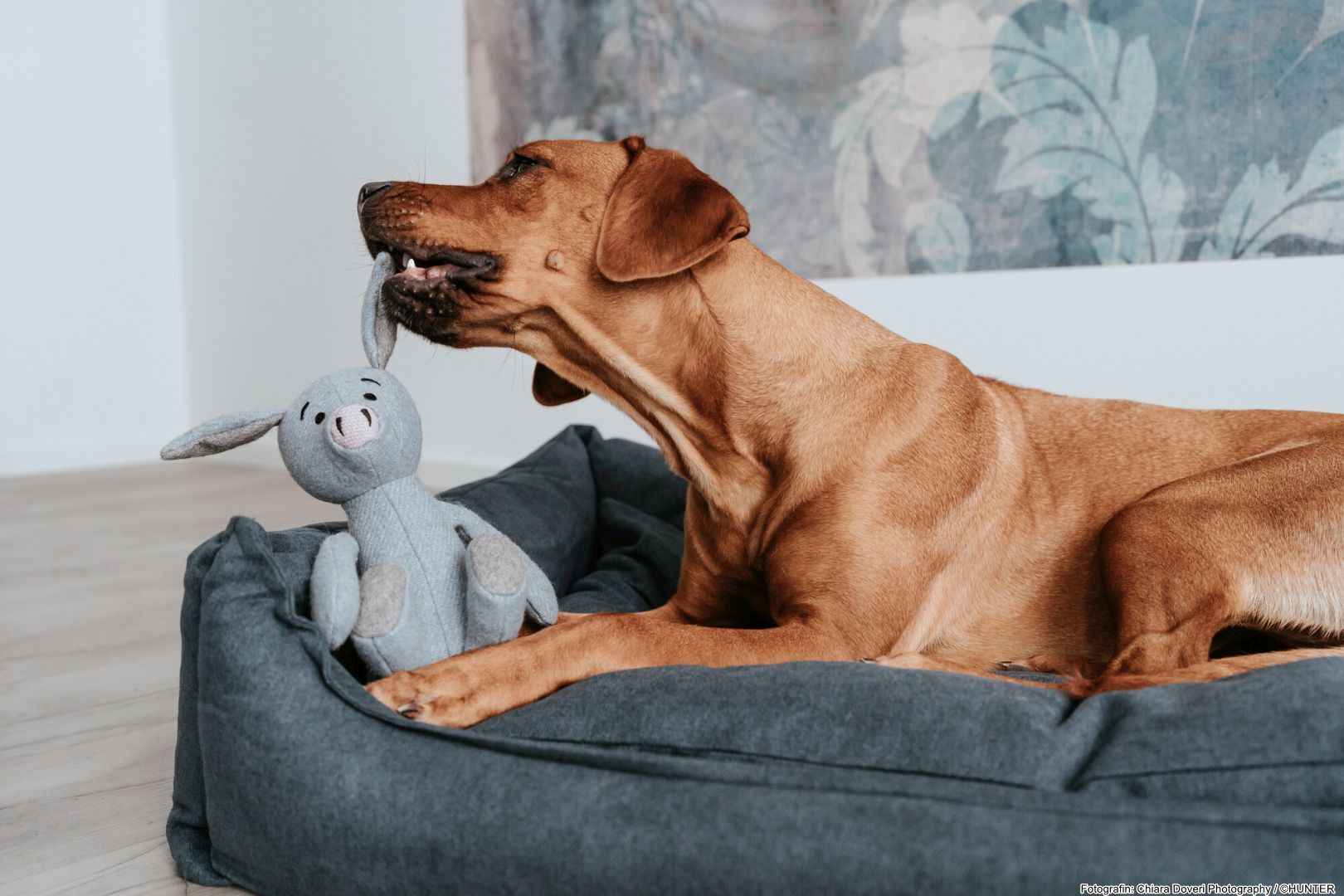 DOG SPORT HUNTER Hundespielzeug Marle Schwein 35 cm