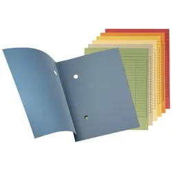 FALKEN Sammelmappe Forever DIN A4 orange
