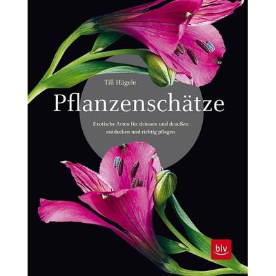 Pflanzenschätze, Gebundene Ausgabe von Till Hägele, Blv, 978-3-96747-027-7