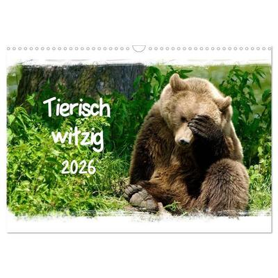 Tierisch witzig (Wandkalender 2026 DIN A3 quer), CALVENDO Monatskalender