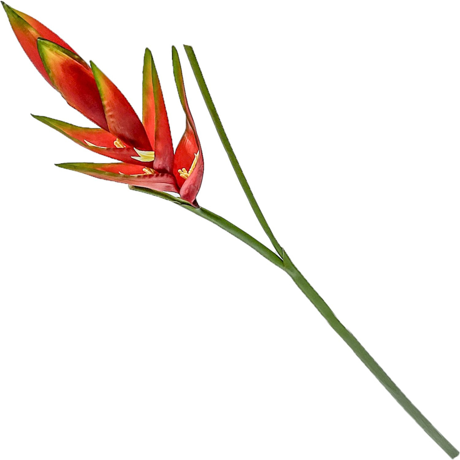 HomeBound by KY Kunstbloem Heliconia Rood