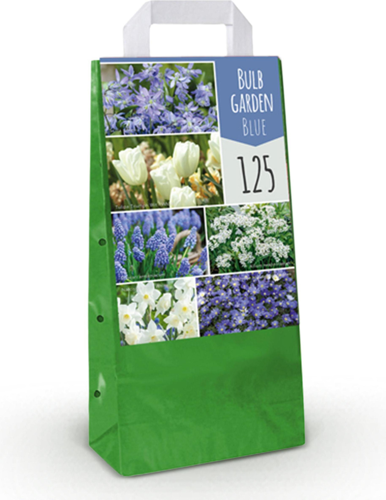 Bulb Garden Blue mix bloembollen van Pflanzenboutique - 125 stuks - Blauw