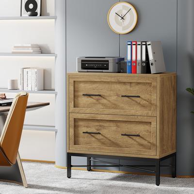 BLUEBELL Modern 2 Drawer Lateral File Cabinet for Home Office