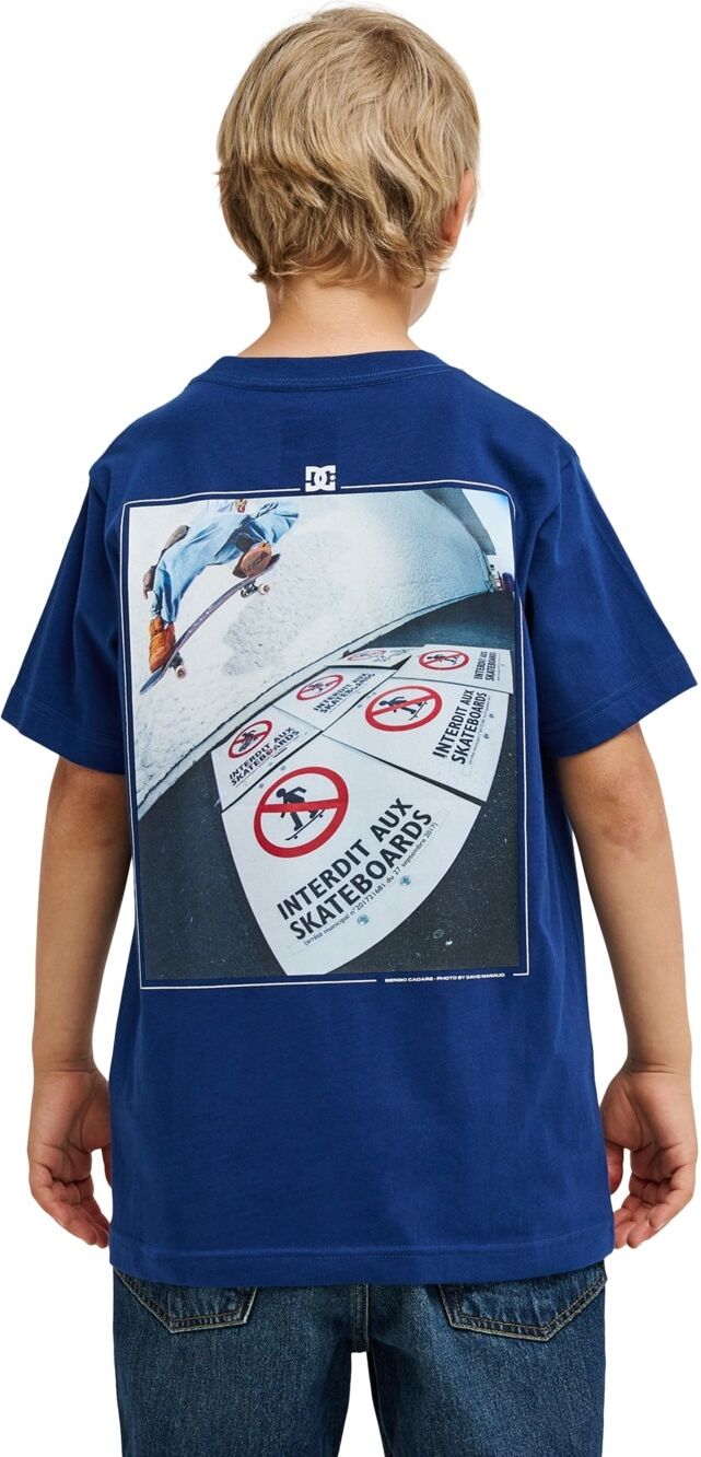 T-Shirt DC SHOES "No Skateboarding", Kinder, Gr. 16(165-172cm), blau (estate blau), Obermaterial: 75% Baumwolle, 25% Baumwolle., Shirts T-Shirt