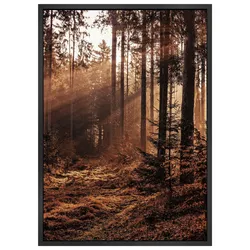 Bild Image in Braun/Beige ca. 50x70cm