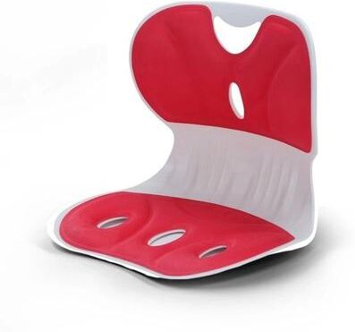 Inspired Finds Ergonomic Lumbar Support Pillow With Washable Breathable Cover red