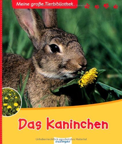 Valérie Tracqui - Das Kaninchen - Preis vom 09.10.2026 07:28:09 h