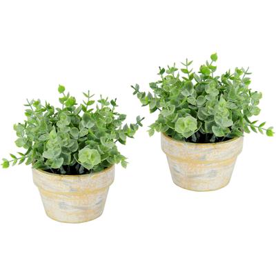 Kunstpflanze I.GE.A. "Künstlicher Eukalyptus im Topf 2er Set Pflanze", grün, B:16cm H:15cm L:16cm, Kunststoff, Kunstpflanzen, Kunstpflanze, Deko Blume für Hochzeit Plastikpflanze Kräuter Deko-Kräuter
