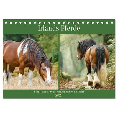 Irlands Pferde. Irish Tinker zwischen Weiden, Wasser und Wald (Tischkalender 2027 DIN A5 quer), CALVENDO Monatskalender
